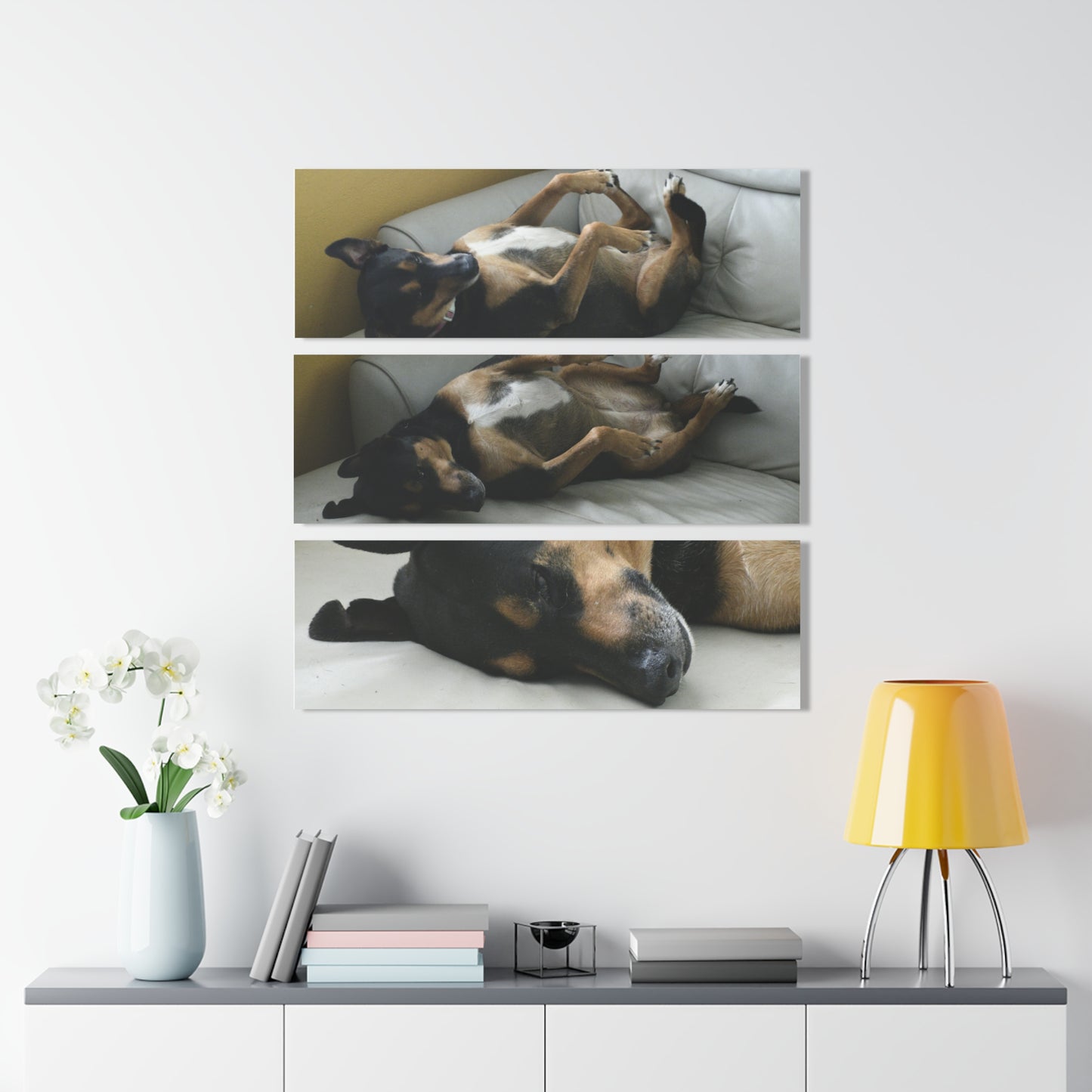 The Home Dog Firu sleeps in the sofa - Nikon D850 - Triptych Acrylic Print