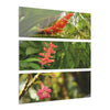 Deep Forest Explorations - Bromeliad and rare El Yunque Flowers - Nikon D850 -  Triptych Acrylic Print