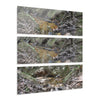 Deep Forest Explorations - El Yunque Holy Spirit River - Nikon D850 - Triptych Acrylic Print – Forest Creek Landscape Wall Art
