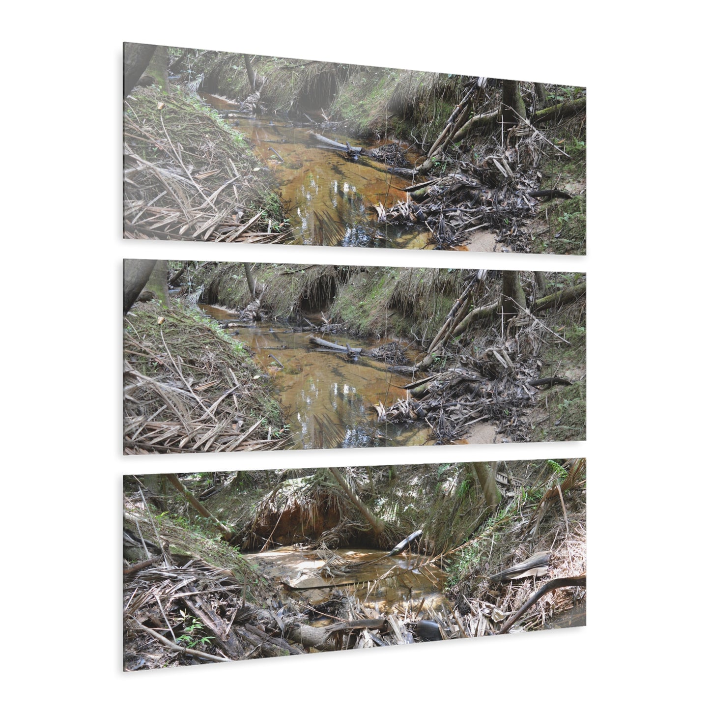 Deep Forest Explorations - El Yunque Holy Spirit River - Nikon D850 - Triptych Acrylic Print – Forest Creek Landscape Wall Art