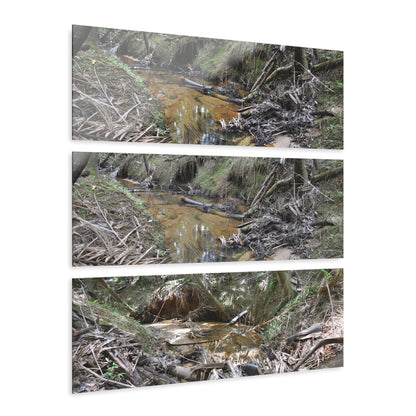 Deep Forest Explorations - El Yunque Holy Spirit River - Nikon D850 - Triptych Acrylic Print – Forest Creek Landscape Wall Art