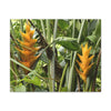 Tropical Heliconia Canvas Print — El Yunque rainforest - Vibrant Jungle Wall Art