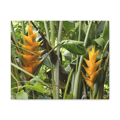 Tropical Heliconia Canvas Print — El Yunque rainforest - Vibrant Jungle Wall Art