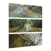 Deep Forest Explorations - Pristine Rio Sabana  - El Yunque RainForest  - Nikon D850 - Tropical Rivers Triptych Acrylic Print – Panoramic Jungle Wall Aert