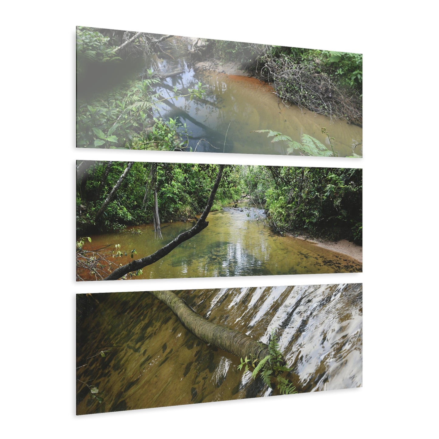 Deep Forest Explorations - Pristine Rio Sabana  - El Yunque RainForest  - Nikon D850 - Tropical Rivers Triptych Acrylic Print – Panoramic Jungle Wall Aert