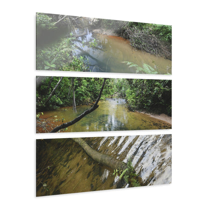 Deep Forest Explorations - Pristine Rio Sabana  - El Yunque RainForest  - Nikon D850 - Tropical Rivers Triptych Acrylic Print – Panoramic Jungle Wall Aert