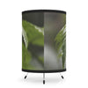 The ancient Fern plant leaf - El Yunque rainforest PR — High-Res Printed Shade (US/CA Plug) - Nikon