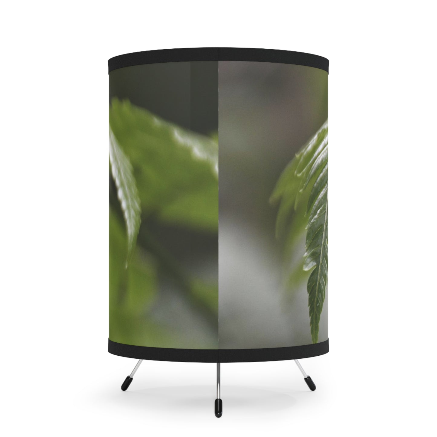 The ancient Fern plant leaf - El Yunque rainforest PR — High-Res Printed Shade (US/CA Plug) - Nikon