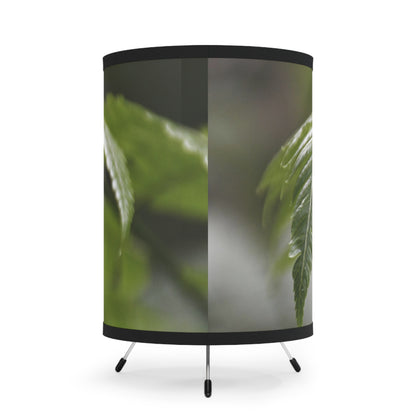 The ancient Fern plant leaf - El Yunque rainforest PR — High-Res Printed Shade (US/CA Plug) - Nikon