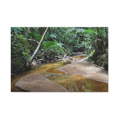 Deep Forest Explorations - El Yunque Holy Spirit River - Nikon D850 - Tropical Creek Canvas Print — Lush Rainforest River Wall Art