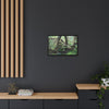 Framed Matte Canvas Wall Art — Tropical Rainforest Roots Photography - The dance of trees - a tree jumble where they hold each other - Nikon