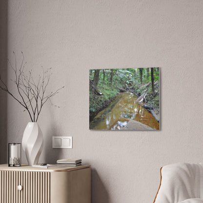 Deep Forest Explorations - El Yunque Holy Spirit River - Nikon D850 - Forest Creek Canvas Print - Stretched 0.75" Nature Wall Art