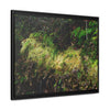 Rainforest Trails & Views - Gallery Canvas Wraps, Horizontal Frame - El Yunque National Forest - PR - PR191 closed road - Huge Boulder with moss - Green Forest Home