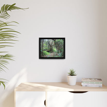 Tropical Vista Matte Canvas Framed Wall Art — Magic section of the remote Tradewinds Trail -  El Yunque rainforest PR