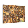 Autumn Leaf Floor Canvas Print — Deep Forest Explorations - El Yunque - Nikon D850 Stretched Wall Art (0.75")