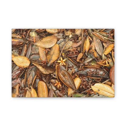 Autumn Leaf Floor Canvas Print — Deep Forest Explorations - El Yunque - Nikon D850 Stretched Wall Art (0.75")