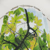 Yagrumo Tree - El Yunque - PUERTO RICO - Shower Curtain — Coastal Bathroom Decor - Nikon image