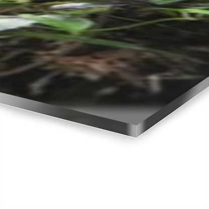 The Dense Cloud Forest -  El Yunque RainForest - Nikon D850 - Tropical Rivers Triptych Acrylic Print – Panoramic Jungle Wall Aert