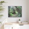 Tropical Vista Matte Canvas Framed Wall Art — Magic section of the remote Tradewinds Trail -  El Yunque rainforest PR