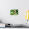 Butterfly on Flower Matte Canvas Wall Art — Nature Photography Print - El Yunque Rainforest - Puerto Rico - Deep forest explorations