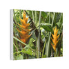 Tropical Heliconia Canvas Print — El Yunque rainforest - Vibrant Jungle Wall Art