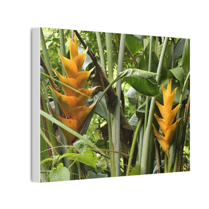 Tropical Heliconia Canvas Print — El Yunque rainforest - Vibrant Jungle Wall Art
