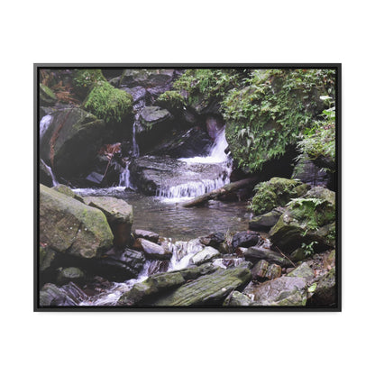 Rainforest Trails & Views - Gallery Canvas Wraps, Horizontal Frame - El Yunque National Forest - Puerto Rico - Juan Diego Trail & River - Green Forest Home