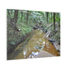 Deep Forest Explorations - El Yunque Holy Spirit River - Nikon D850 - Forest Creek Canvas Print - Stretched 0.75" Nature Wall Art
