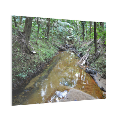 Deep Forest Explorations - El Yunque Holy Spirit River - Nikon D850 - Forest Creek Canvas Print - Stretched 0.75" Nature Wall Art