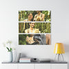 Three Views of a Cat Looking at the Forest - Gabi and Mateo - El Yunque RainForest  - Nikon D850 - Tropical Mountains Triptych Acrylic Print – Panoramic Jungle & Ocean Wall Art
