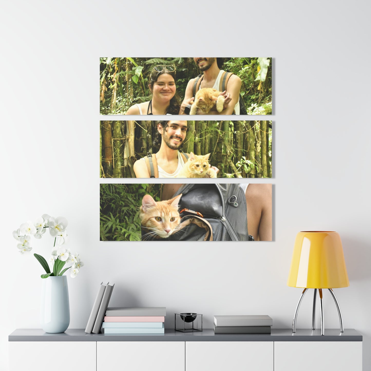 Three Views of a Cat Looking at the Forest - Gabi and Mateo - El Yunque RainForest  - Nikon D850 - Tropical Mountains Triptych Acrylic Print – Panoramic Jungle & Ocean Wall Art
