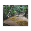 Deep Forest Explorations - El Yunque Holy Spirit River - Nikon D850 - Tropical Creek Canvas Print — Lush Rainforest River Wall Art