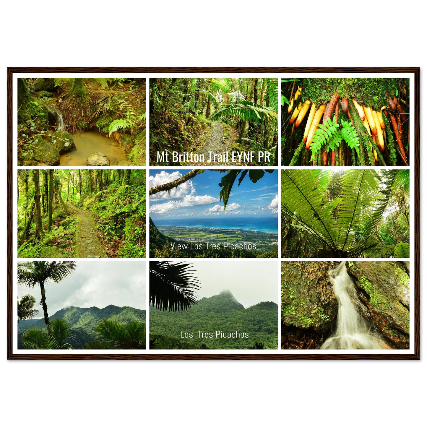 4693b2d7-7daa-43bc-907c-b135415cf248