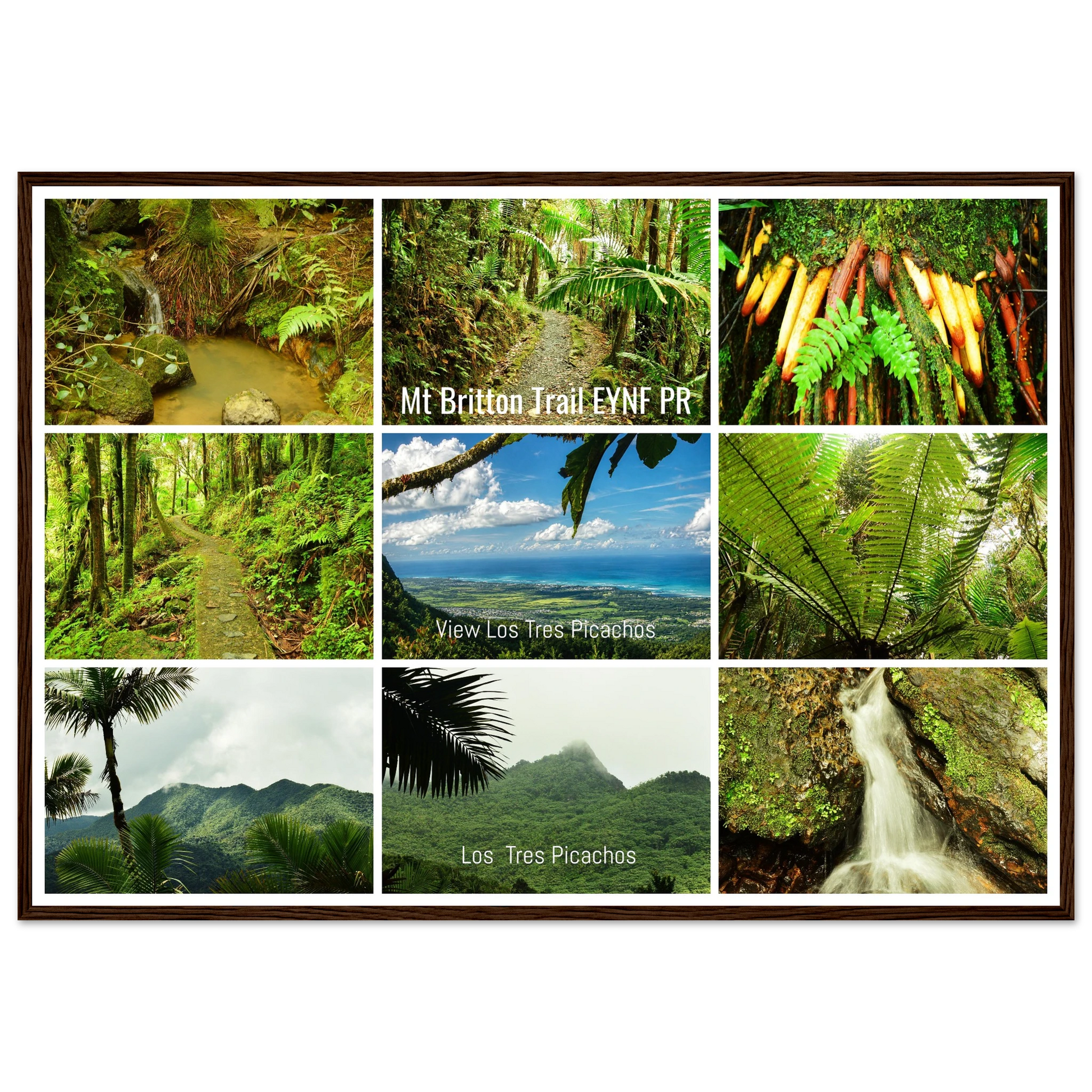 4693b2d7-7daa-43bc-907c-b135415cf248