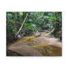 Deep Forest Explorations - El Yunque Holy Spirit River - Nikon D850 - Tropical Creek Canvas Print — Lush Rainforest River Wall Art