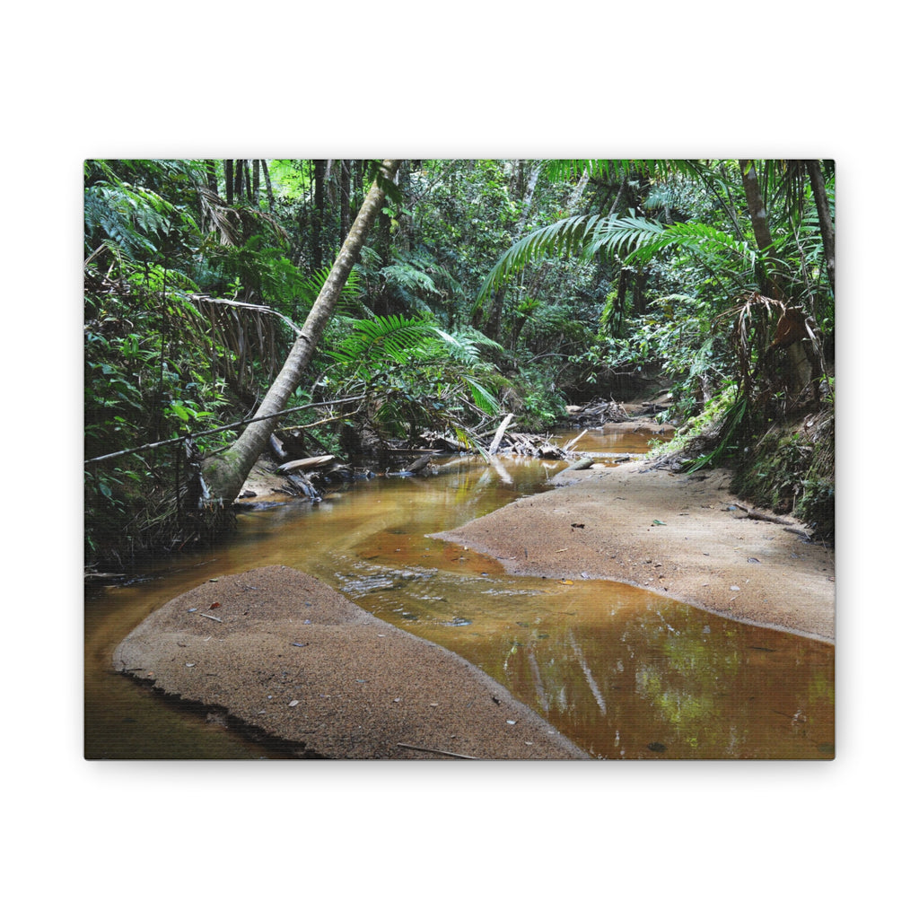 Deep Forest Explorations - El Yunque Holy Spirit River - Nikon D850 - Tropical Creek Canvas Print — Lush Rainforest River Wall Art