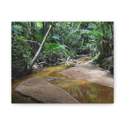 Deep Forest Explorations - El Yunque Holy Spirit River - Nikon D850 - Tropical Creek Canvas Print — Lush Rainforest River Wall Art