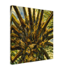 46a488ff-0c86-4005-a86e-5cef06bd9ab4