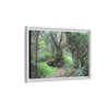 Tropical Vista Matte Canvas Framed Wall Art — Magic section of the remote Tradewinds Trail -  El Yunque rainforest PR