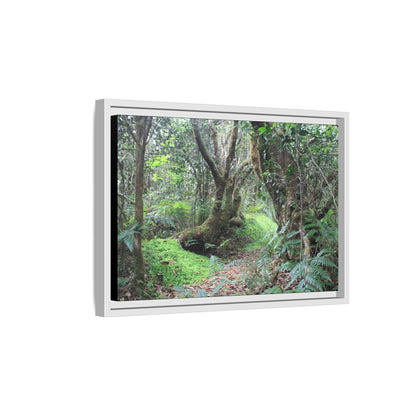 Tropical Vista Matte Canvas Framed Wall Art — Magic section of the remote Tradewinds Trail -  El Yunque rainforest PR