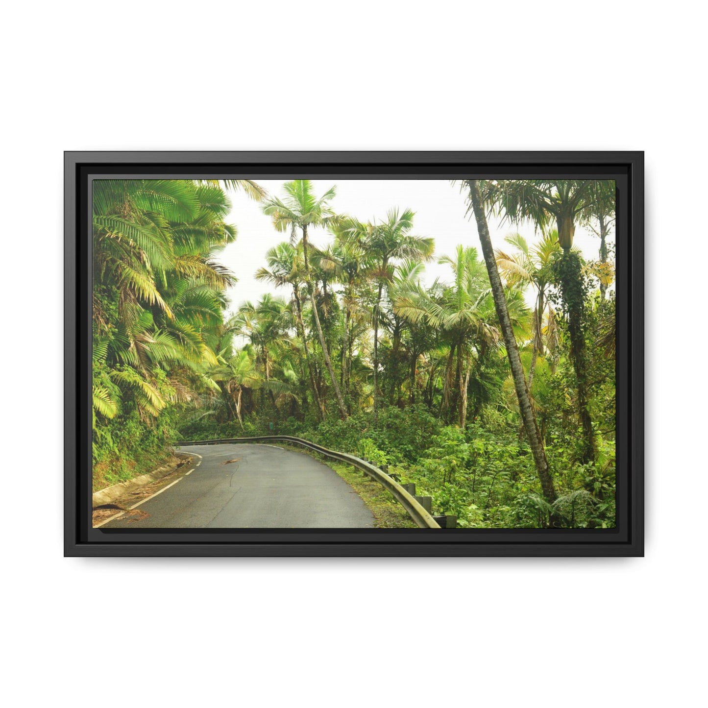 Tropical Vista Matte Canvas Framed Wall Art — Lush Mountain road the PR 191 High forest - El Yunque rainforest PR