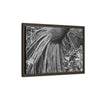 Framed Matte Canvas Wall Art — Tropical Rainforest Roots Photography - B&W roots of the Sierra Palm tree - Nikon