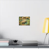 Tropical Forest Stream Matte Canvas Wall Art — Stretched Nature Landscape Print