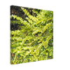 48f1e5cd-8364-4bfe-87c4-53d8d4886f6d