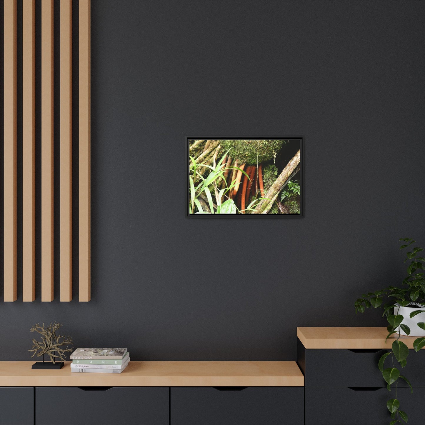 Framed Matte Canvas Wall Art — Tropical Rainforest Roots Photography - The strong orange roots of the Sierra Palm - that can survive hurricanes