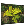 49f4903e-7782-4142-aad2-024842be78ec