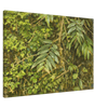 4d8a84c2-8fd4-4083-9d3c-44f69956e4a9