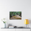 Deep Forest Explorations - El Yunque Holy Spirit River - Nikon D850 - Tropical Creek Canvas Print — Lush Rainforest River Wall Art