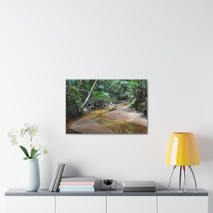 Deep Forest Explorations - El Yunque Holy Spirit River - Nikon D850 - Tropical Creek Canvas Print — Lush Rainforest River Wall Art