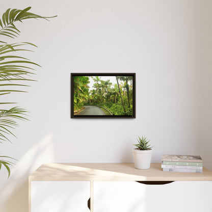 Tropical Vista Matte Canvas Framed Wall Art — Lush Mountain road the PR 191 High forest - El Yunque rainforest PR